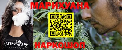 шишки Будённовск
