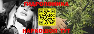 шишки Будённовск