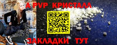 шишки Будённовск