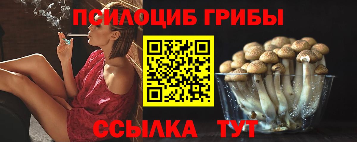 Мыски  Галлюциногенные грибы ЛСД  Вход с VPN  Псилоцибиновые грибы Psilocybine cubensis 